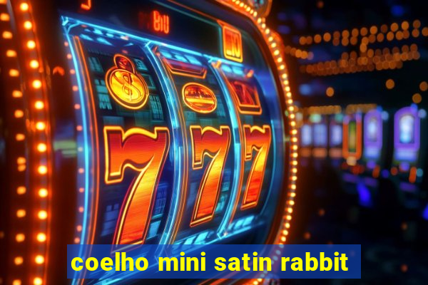 coelho mini satin rabbit